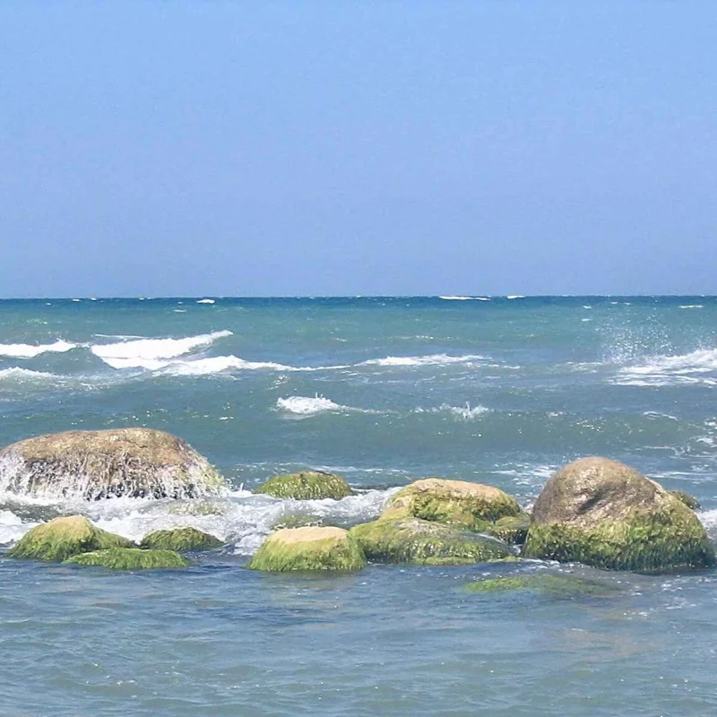 Caspian coast